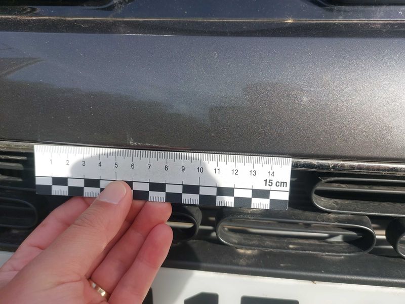Citroen C4 Cactus 1.2 e-THP Shine 2019 – снимка 54