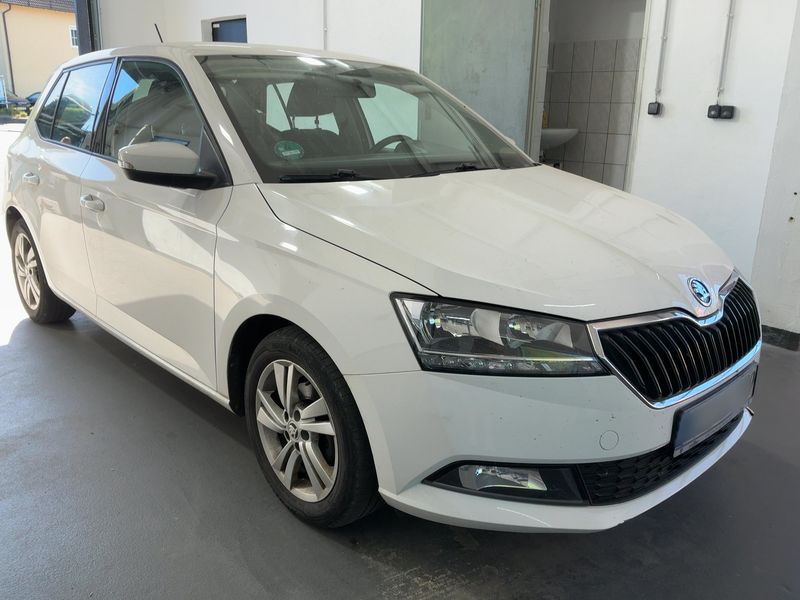 Skoda Fabia 1.0 TSI Ambition 2021 – снимка 12