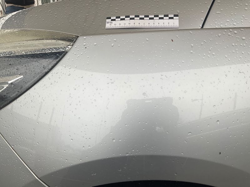 Renault Scenic 1.2 TCe Energy BOSE Edition 2016 – снимка 26