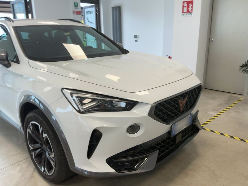 Cupra Formentor 2.0 TDI 4Drive 2024 – снимка 12