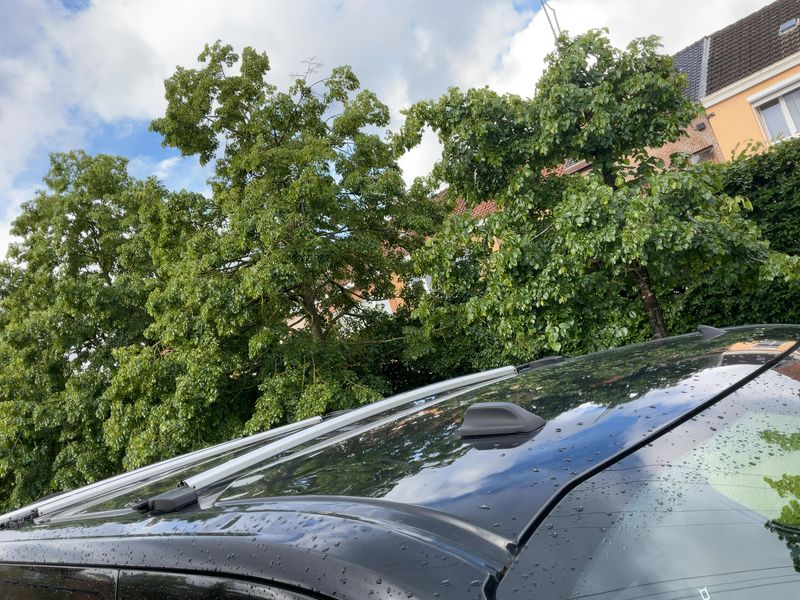 Ford Transit Custom 2.0 TDCi 300 L1 Trend 2020 – снимка 13