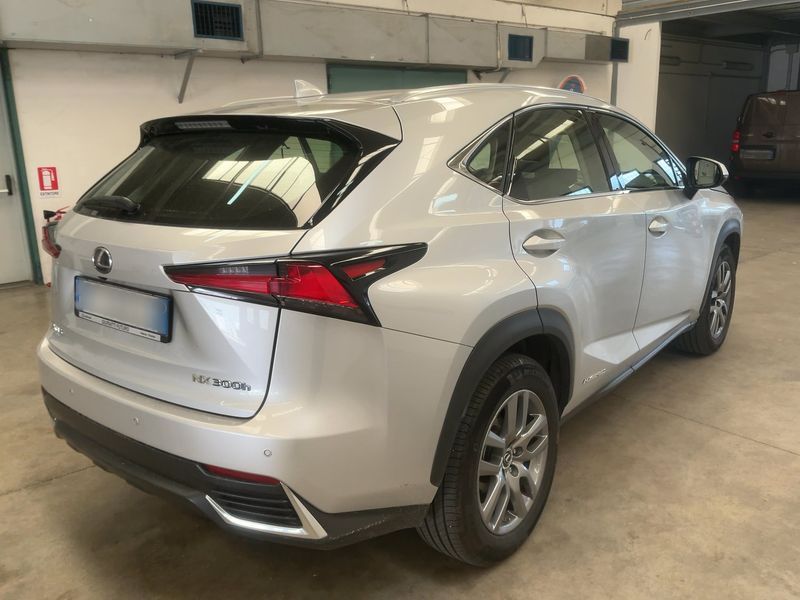 Lexus NX-Serie NX 300h E-Four Business Line 2019 – снимка 8