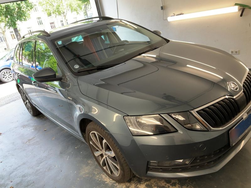 Skoda Octavia 2.0 TDI Soleil 2019 – снимка 12