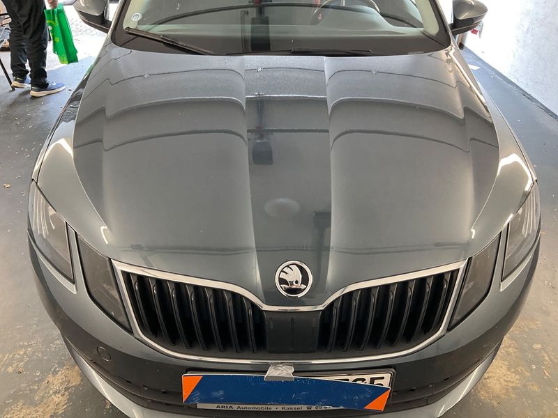 Skoda Octavia 2.0 TDI Soleil 2019 – снимка 46