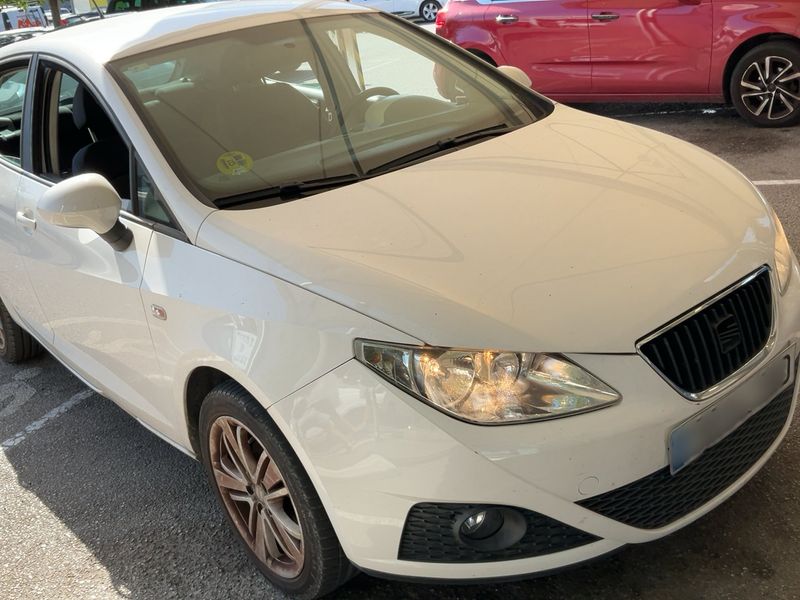Seat Ibiza 1.6 TDI Good Stuff 2010 – снимка 12