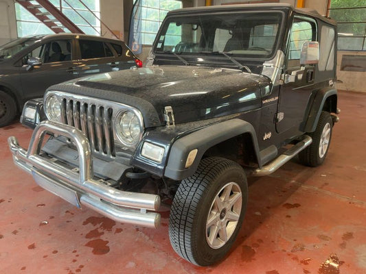 Jeep Wrangler 2.5 Sport 1996 – снимка 1