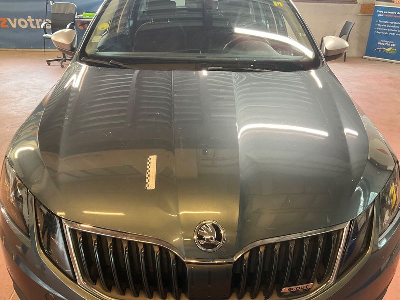 Skoda Octavia 2.0 TDI Scout 4x4 2019 – снимка 47
