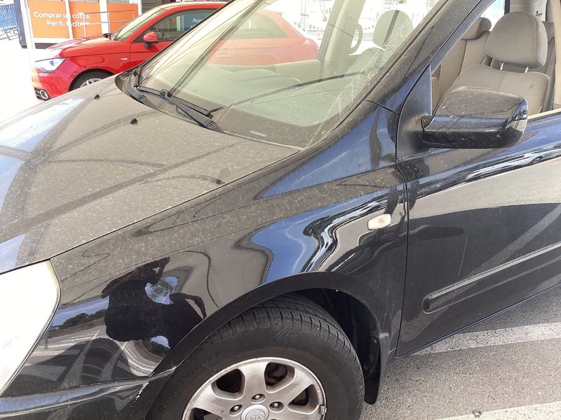 Kia Carnival 2.9 CRDi VGT Active 2009 – снимка 29