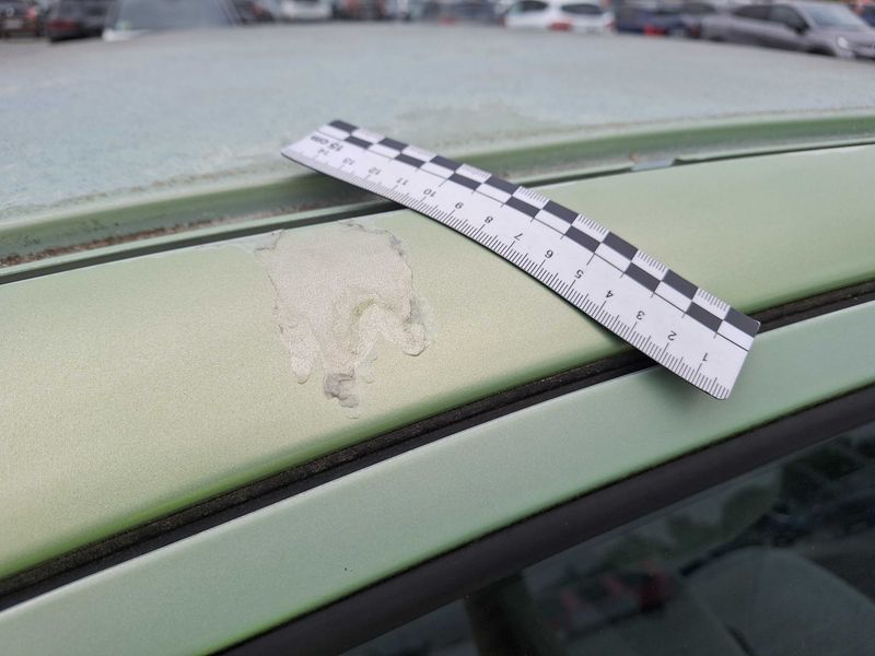 Citroen C3 1.4 Pack Clim 2003 – снимка 33