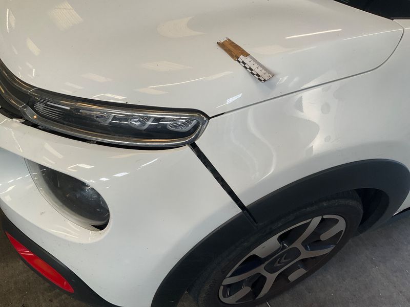 Citroen C3 1.6 Blue-HDi Shine 2018 – снимка 48