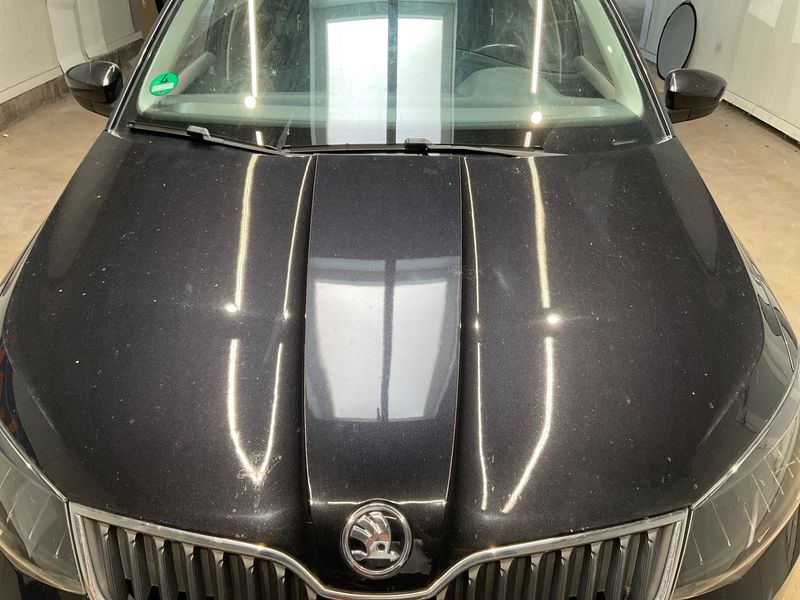 Skoda Fabia 1.0 MPI Ambition 2016 – снимка 47