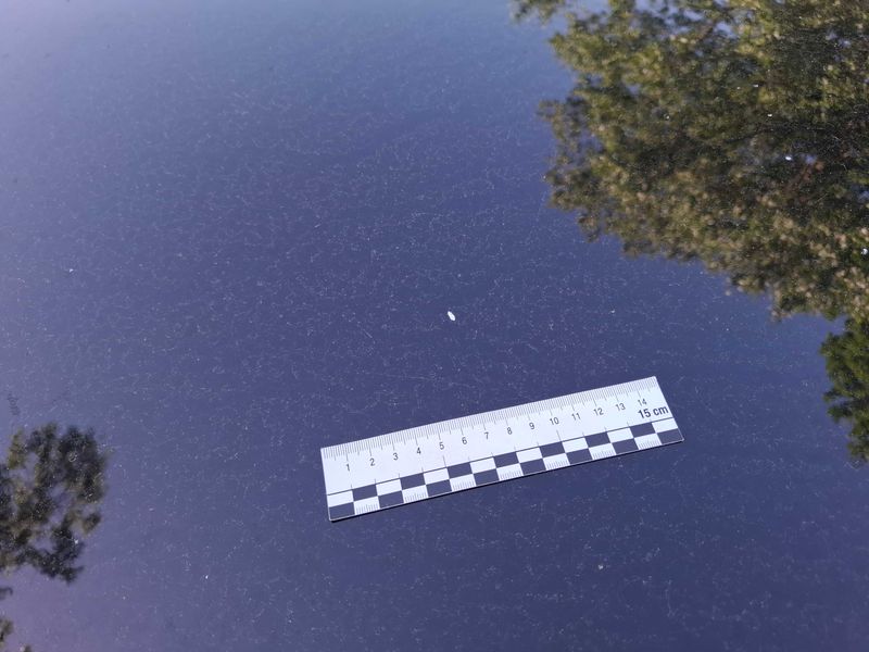 Peugeot 3008 1.6 Blue-HDi Allure 2017 – снимка 118