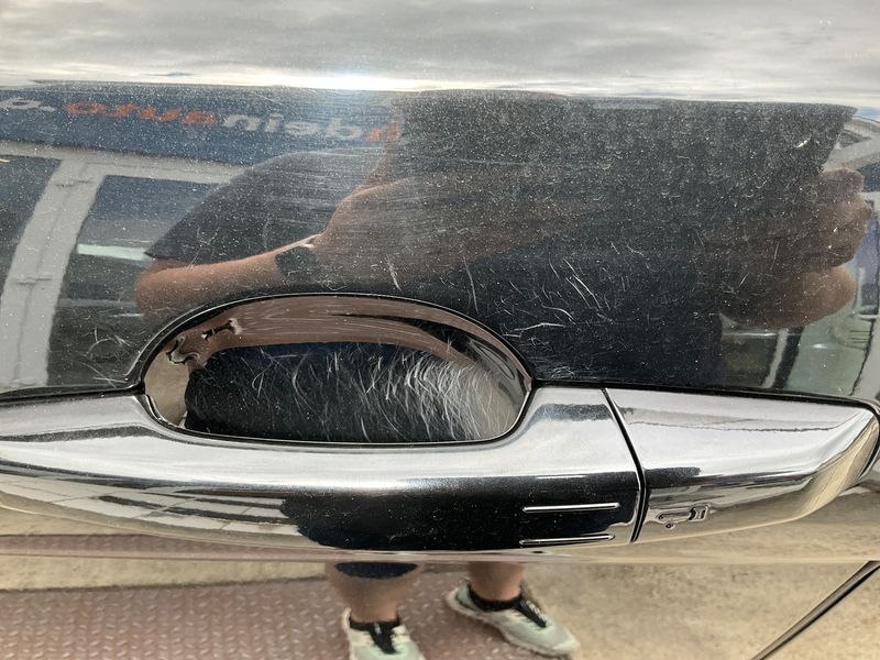 Land Rover Evoque 2.2 Sd4 Dynamic 2014 – снимка 32