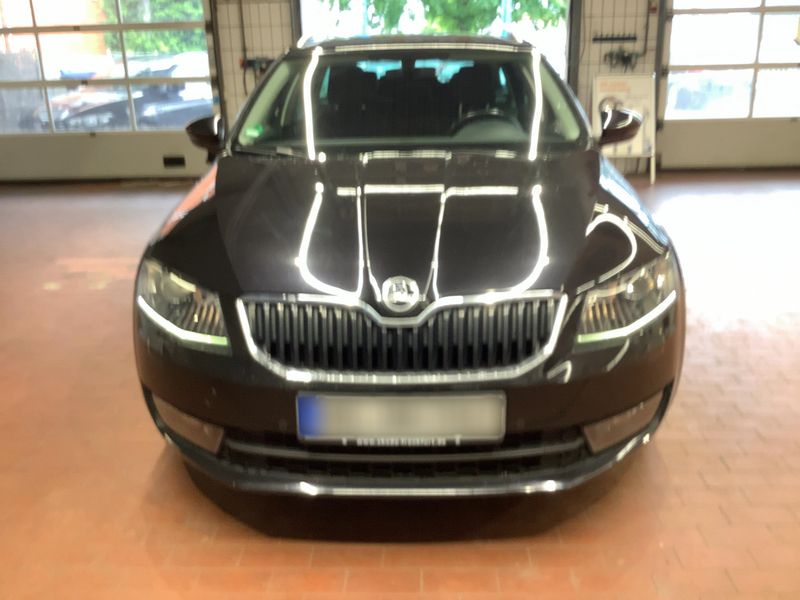 Skoda Octavia 1.4 TSI Joy 2016 – снимка 14