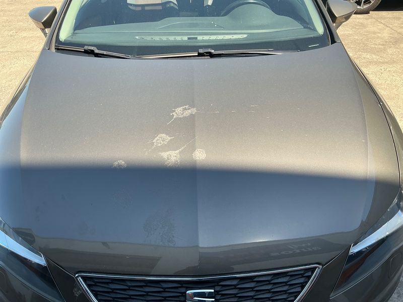 Seat Leon 2.0 TDI X-Perience 4Drive 2016 – снимка 33