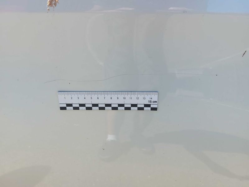 Peugeot 308 1.2 PureTech Tech Edition 2018 – снимка 26