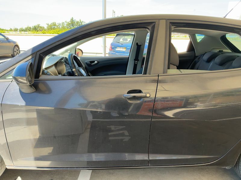 Seat Ibiza 1.2 Amaro 2010 – снимка 4