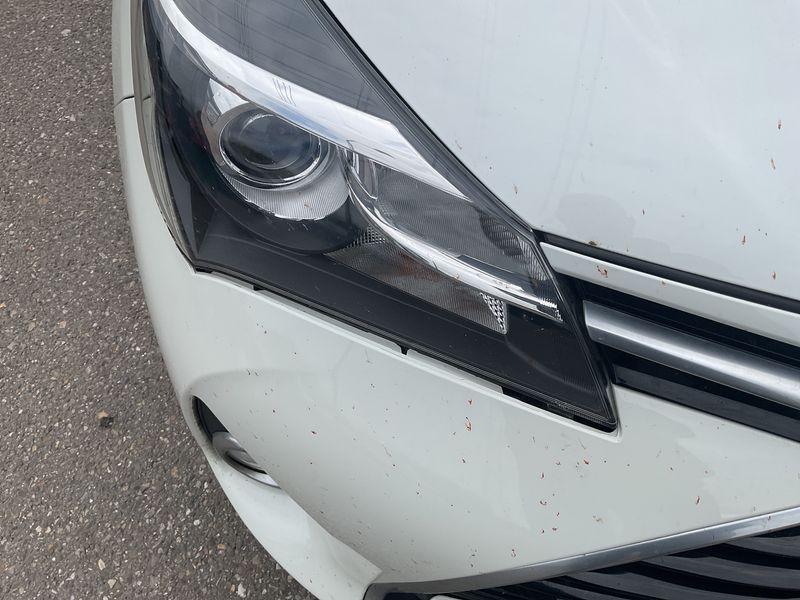 Toyota Yaris 1.5 Hybrid France 2015 – снимка 24