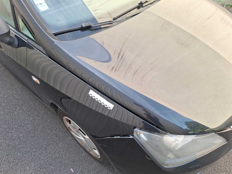 Seat Ibiza 1.4 Reference Viva 2012 – снимка 93