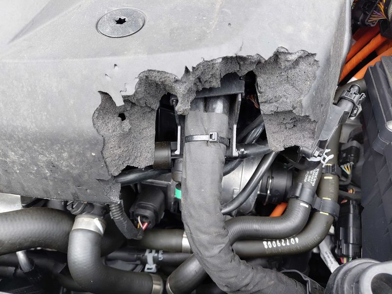 Volvo XC60 2.0 T6 Recharge Plug-in Hybrid Ultra Dark AWD 2025 – снимка 19