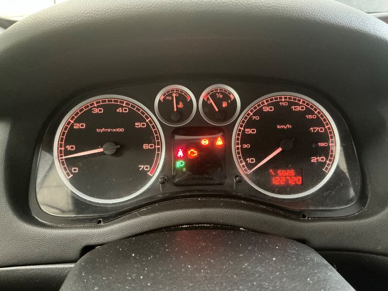 Peugeot 307 2.0 Griffe 2005 – снимка 4
