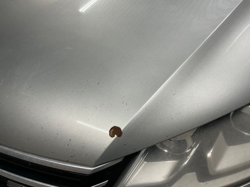 Volkswagen Passat 2.0 TDI 4Motion BlueMotion Tech 2012 – снимка 50