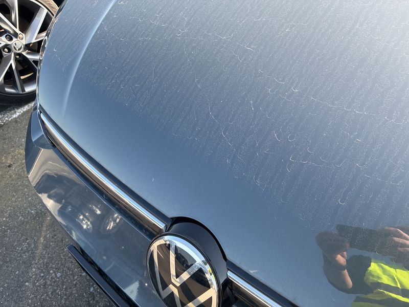 Volkswagen Golf VIII 2.0 TSI Style 2022 – снимка 23