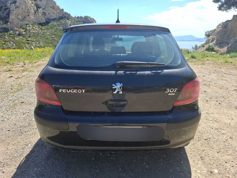 Peugeot 307 1.6 HDi Pack 2005 – снимка 4