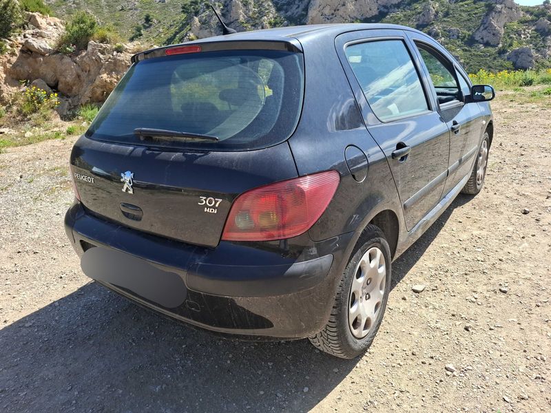 Peugeot 307 1.6 HDi Pack 2005 – снимка 5