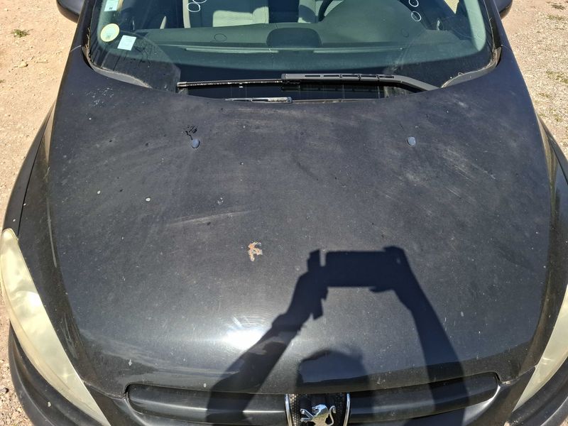 Peugeot 307 1.6 HDi Pack 2005 – снимка 70