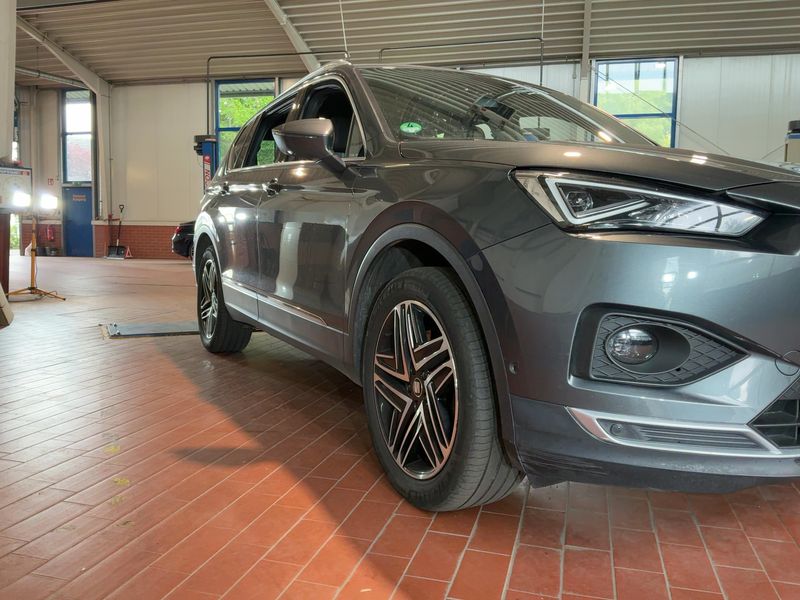 Seat Tarraco 2.0 TDI Xcellence 4Drive 2019 – снимка 12
