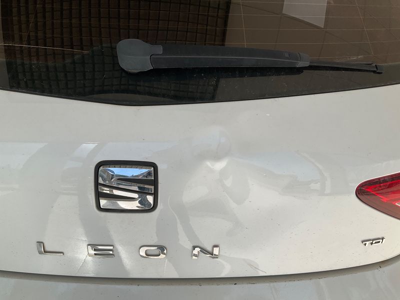 Seat Leon 1.6 TDI Reference Plus 2014 – снимка 31