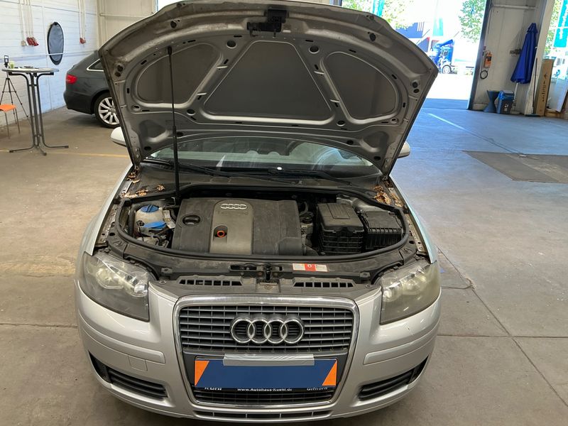 Audi A3 1.6 FSI Attraction 2006 – снимка 7