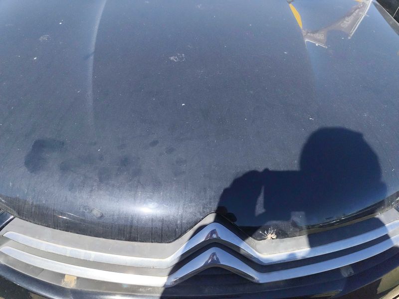 Citroen C4 1.6 Blue-HDi Shine 2017 – снимка 8