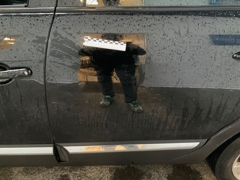 Renault Scenic 1.2 TCe Energy Xmod Bose 2015 – снимка 26