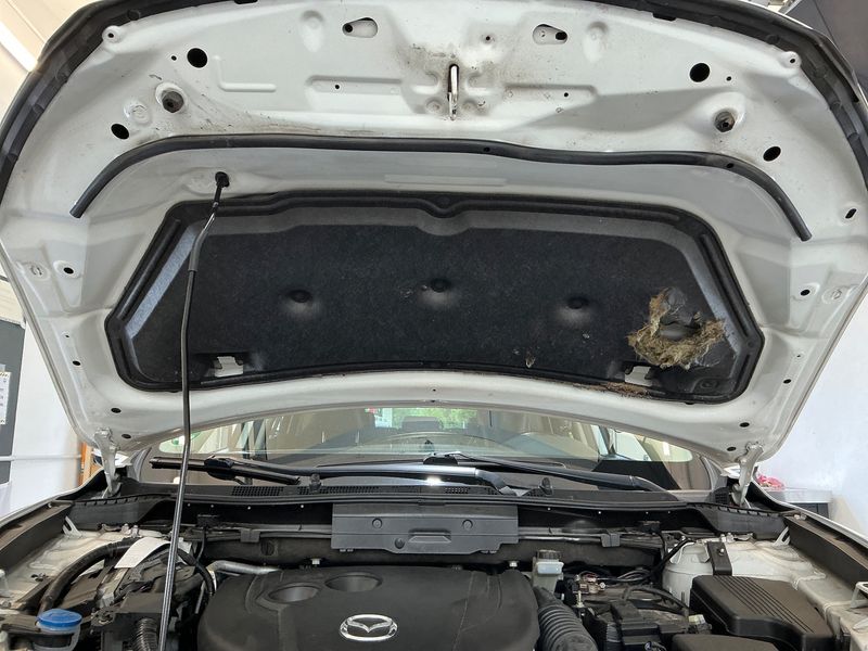 Mazda CX-5 2.2 Turbodiesel Exclusive-Line 2WD 2015 – снимка 38