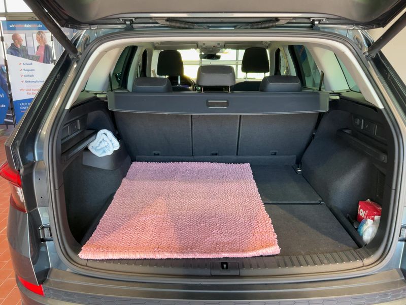 Skoda Kodiaq 2.0 TSI Drive 125 4x4 2021 – снимка 15