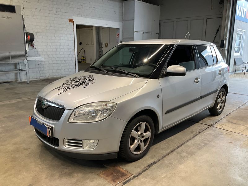 Skoda Fabia 1.4 TDI Greenline 2009 – снимка 1