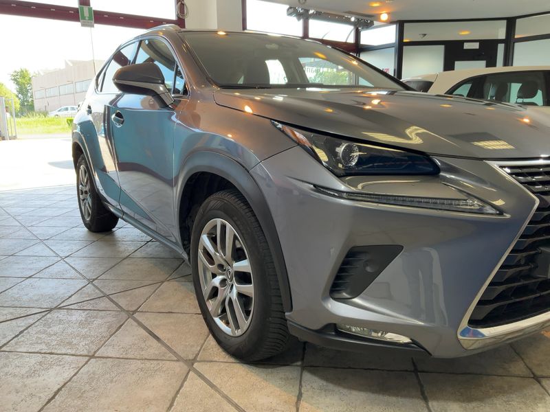 Lexus NX-Serie NX 300h E-Four Premium 2020 – снимка 12