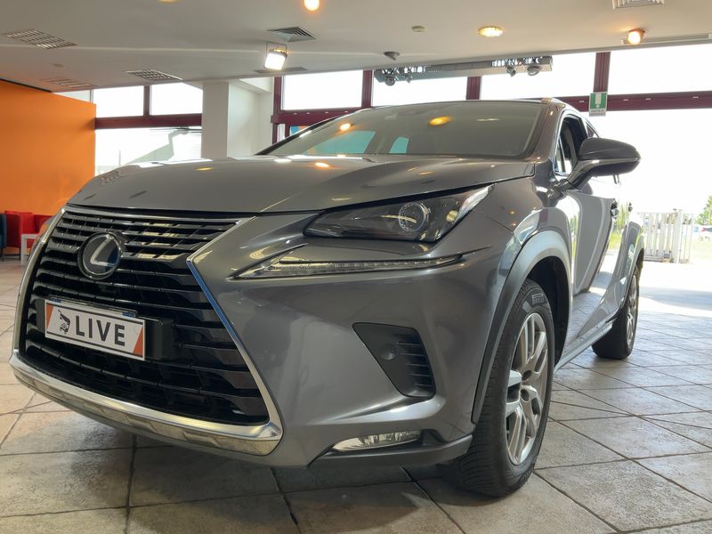 Lexus NX-Serie NX 300h E-Four Premium 2020 – снимка 2
