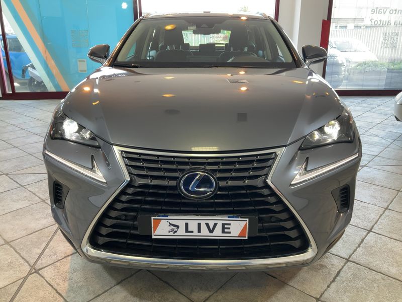 Lexus NX-Serie NX 300h E-Four Premium 2020 – снимка 14