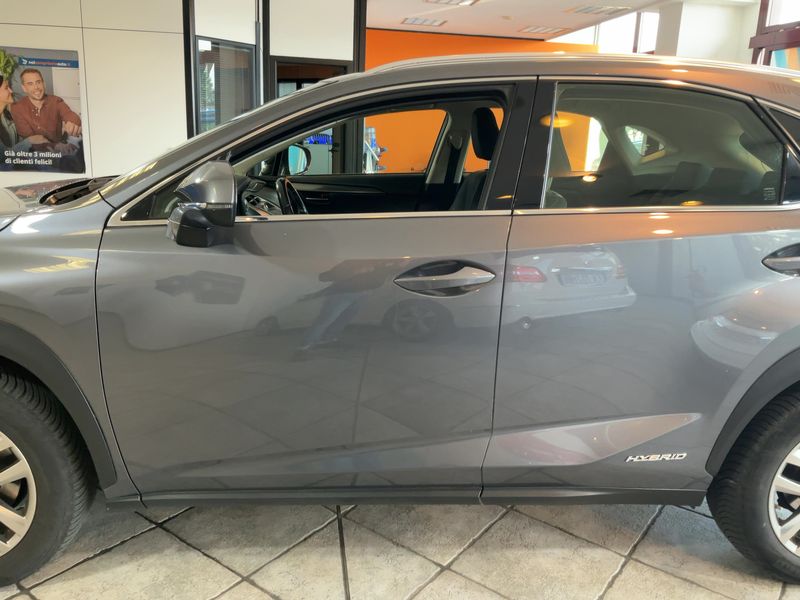 Lexus NX-Serie NX 300h E-Four Premium 2020 – снимка 4