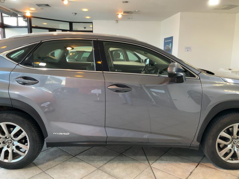 Lexus NX-Serie NX 300h E-Four Premium 2020 – снимка 10