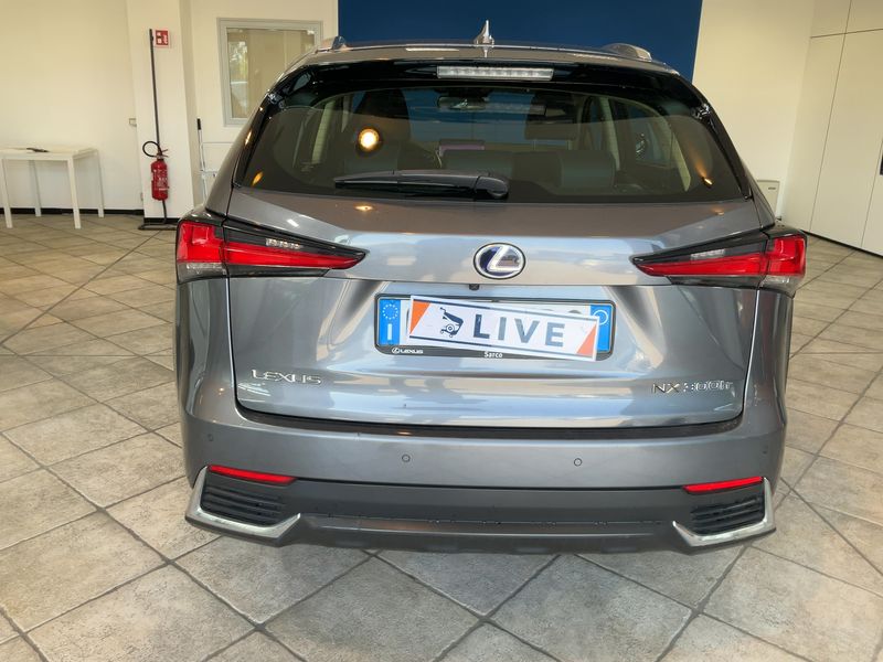 Lexus NX-Serie NX 300h E-Four Premium 2020 – снимка 7