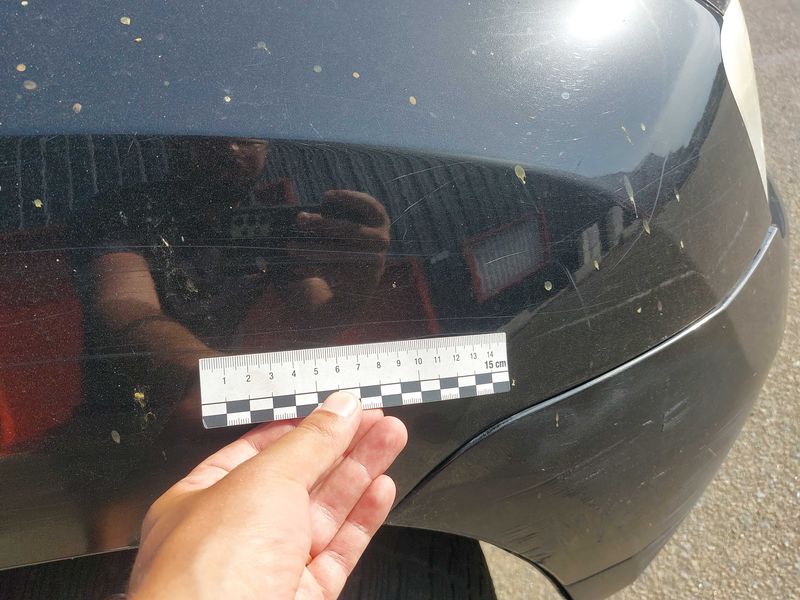 Dacia Duster 1.5 dCi Prestige 4x2 2011 – снимка на щета