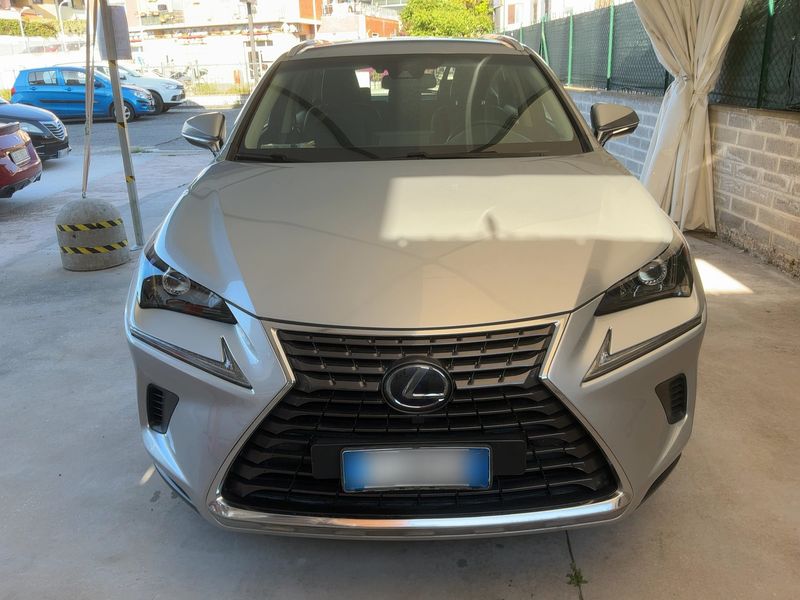 Lexus NX-Serie NX 300h E-Four Executive Line 2018 – снимка 14