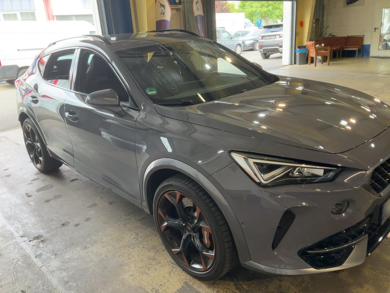 Cupra Formentor 2.0 TSI VZ 4Drive 2021 – снимка 12