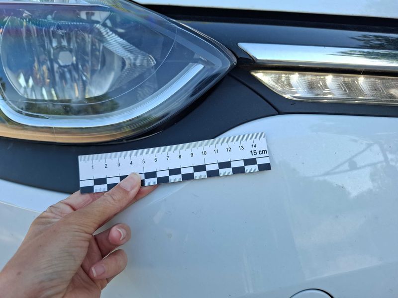 Renault Clio 0.9 Energy Limited 2016 – снимка 111