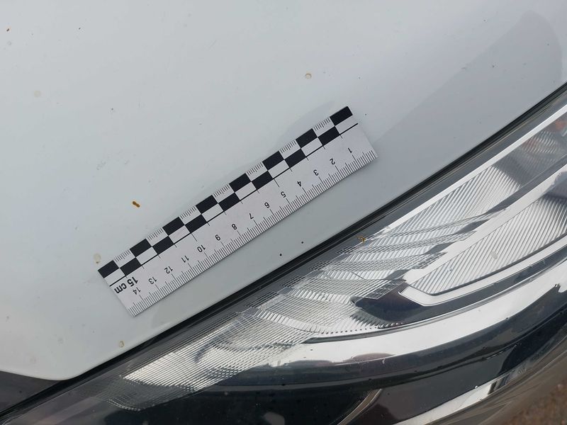 Renault Clio 1.5 dCi Energy Air MediaNav 2018 – снимка 29