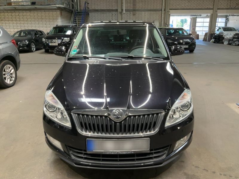 Skoda Fabia 1.4 Fresh 2013 – снимка 14